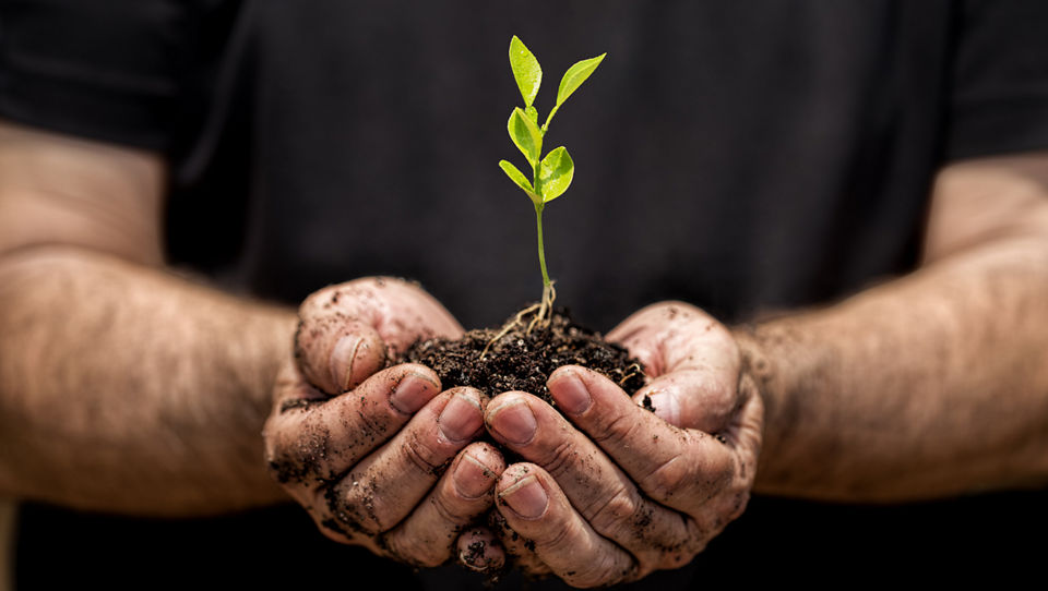 Danone, responsible compagny practices : food safety