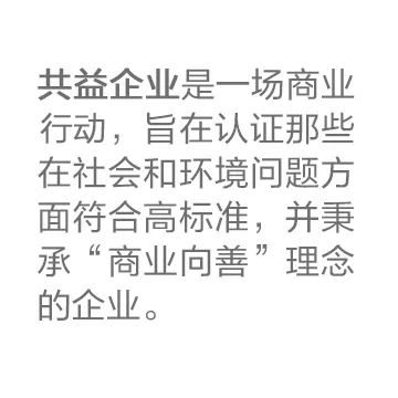 Quotation "B Corp is a movement of companies verified to be meeting the highest standards of social and environmental criteria and using their business as a force for good"
