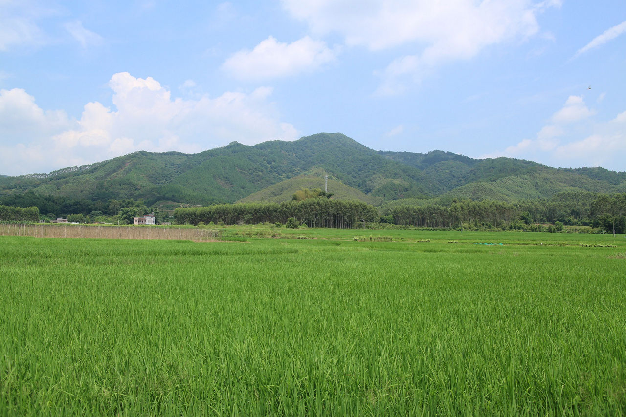 用可持续发展理念，撬动一片水源保护区