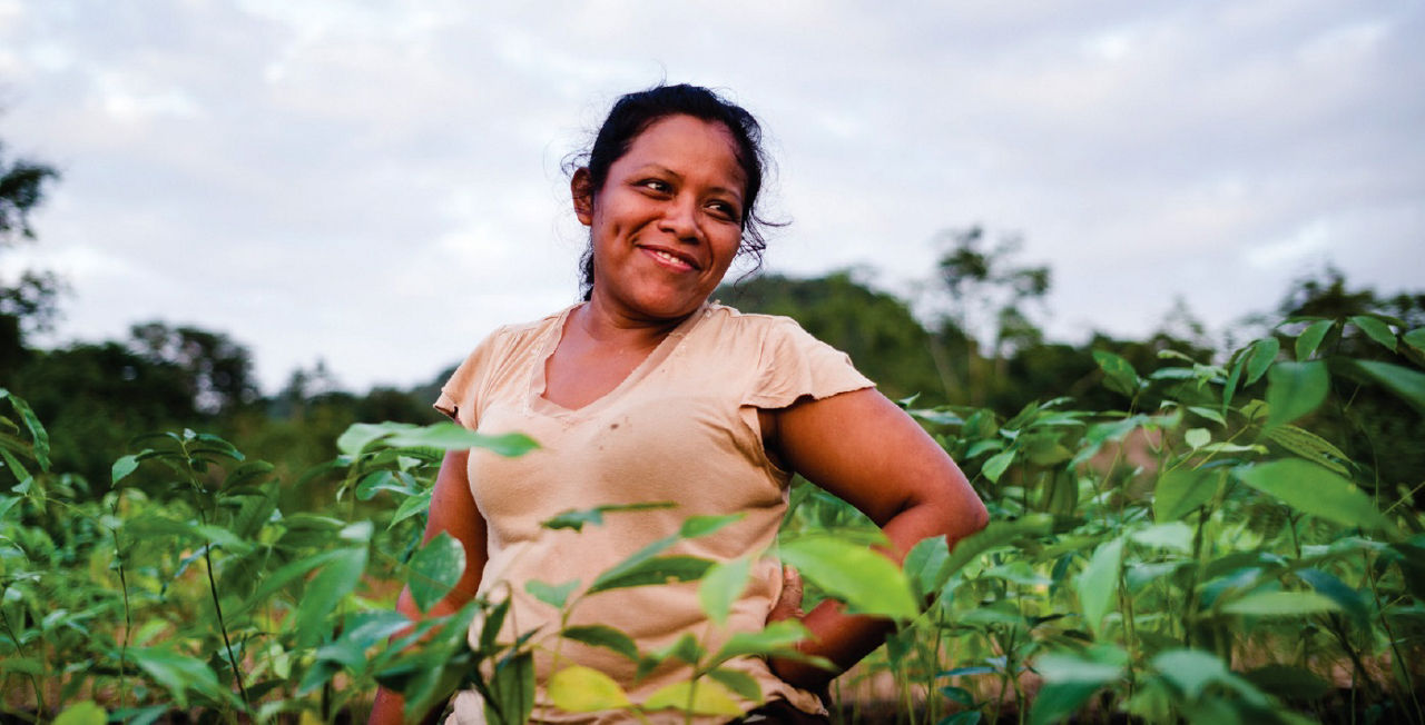 建设健康拉丁美洲：达能的五大法宝
