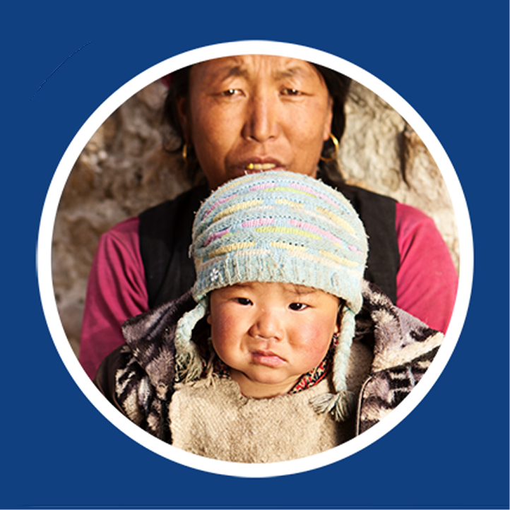 权威机构项目合作